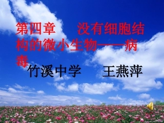 没有细胞结构的微小生物1