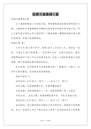 促销方案集锦5篇