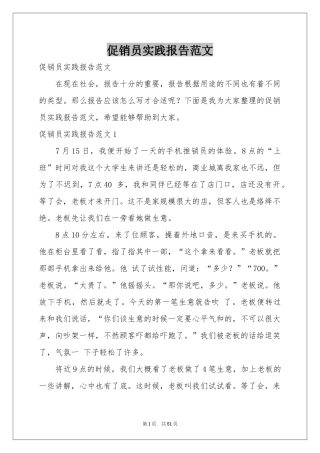 促销员实践报告范本