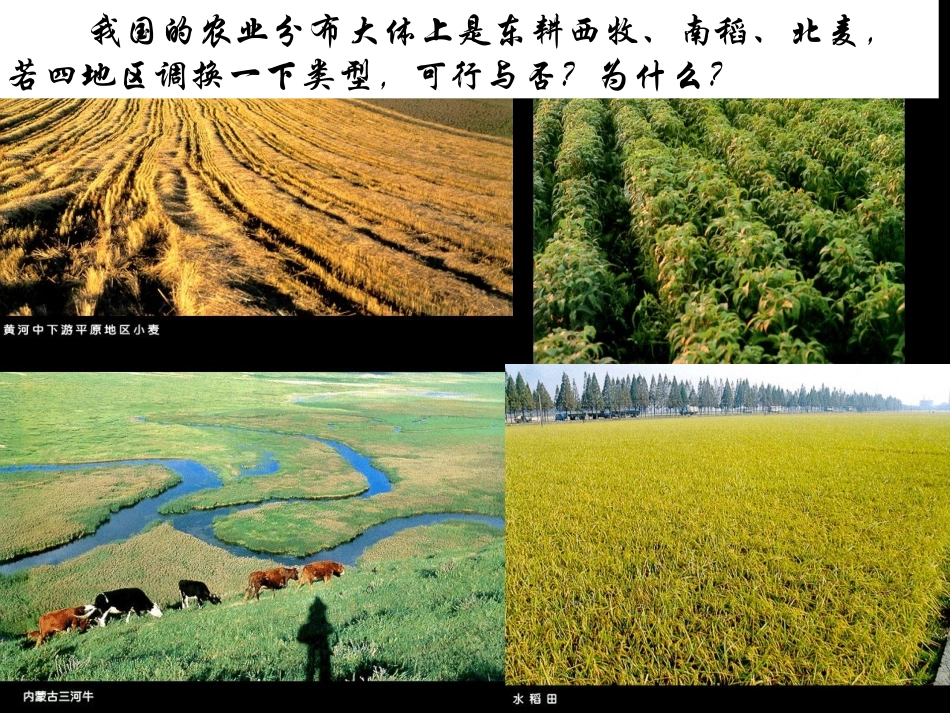 农业区位因素_第2页