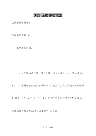 2024促销活动策划_70