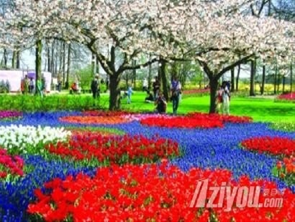 社会：护花小天使_第2页