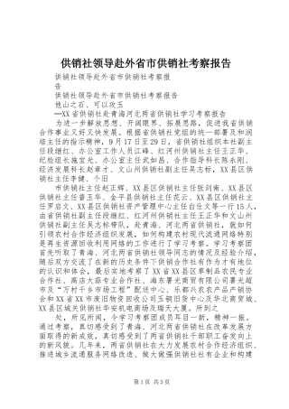 供销社领导赴外省市供销社考察报告