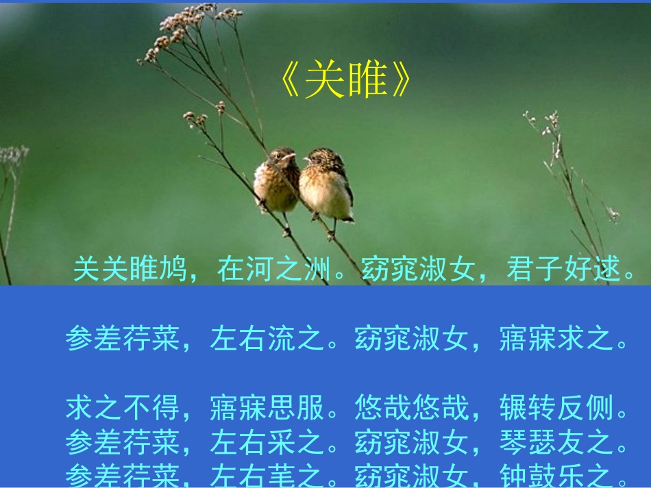 《诗经》三首_第1页