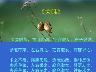 《诗经》三首