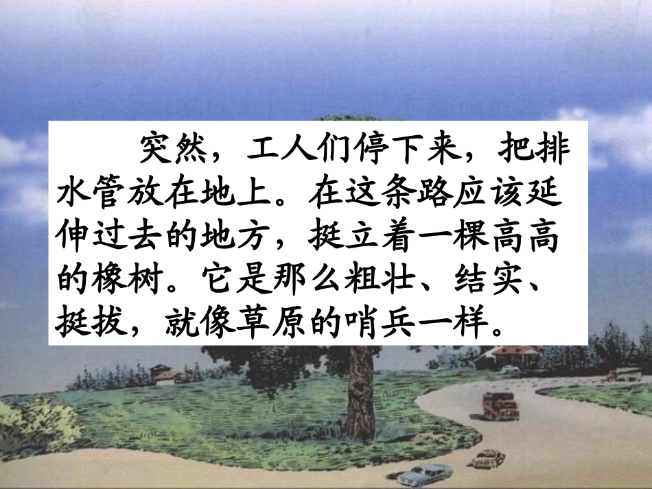 《路旁的橡树》教学课件_第3页