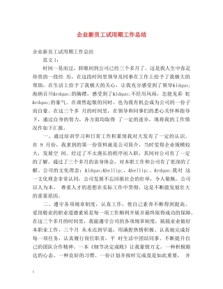 企业新员工试用期工作总结 