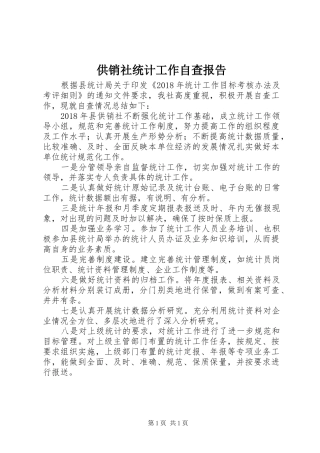 供销社统计工作自查报告