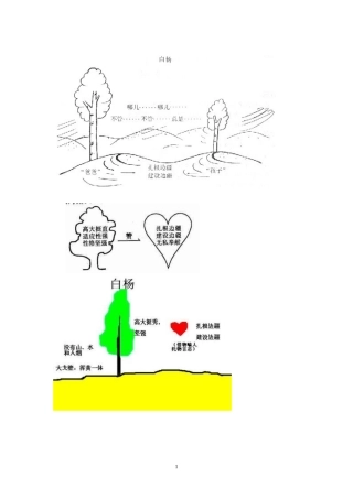 《白杨》思维导图板书