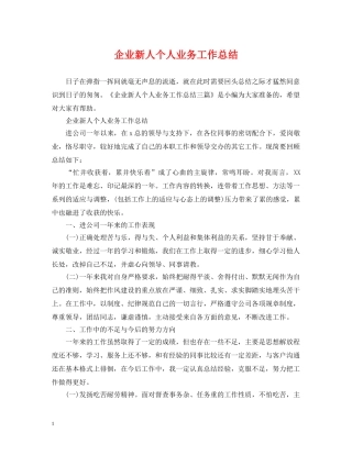 企业新人个人业务工作总结 