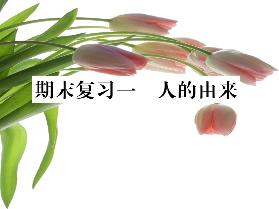 期末复习一人的由来 (2)_第1页