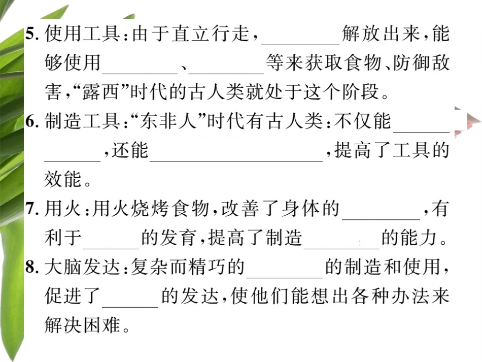 期末复习一人的由来 (2)_第3页