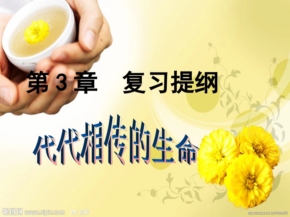 代代相传的生命_复习_第1页