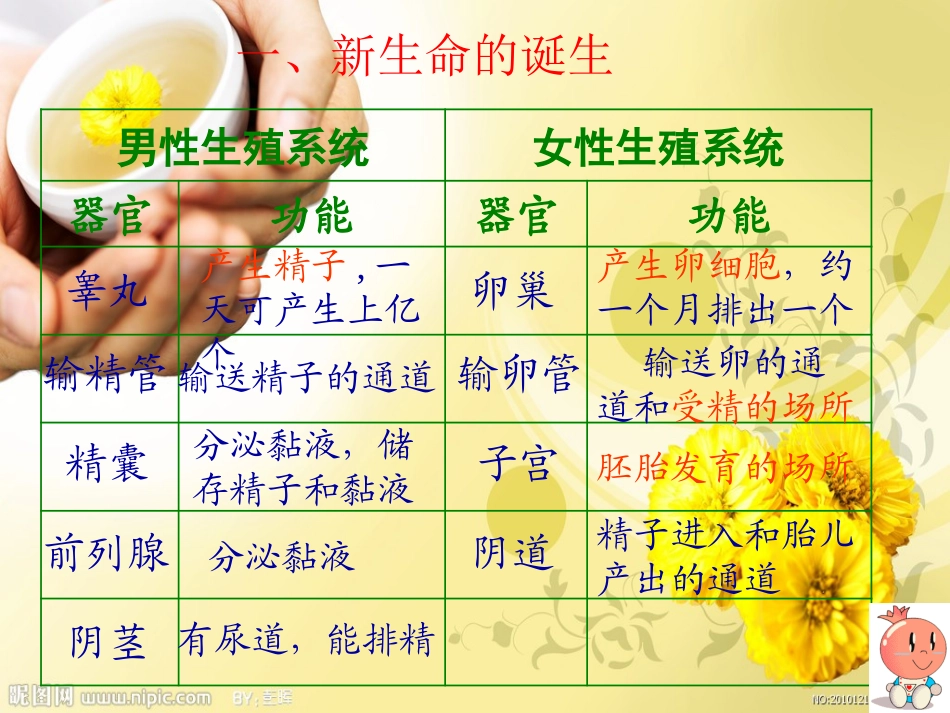 代代相传的生命_复习_第2页