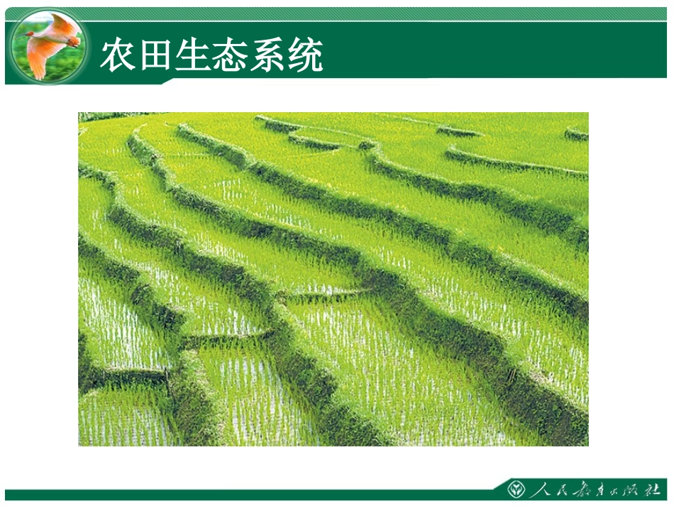 《生物圈是最大的生态系统》第三节教学课件_第3页