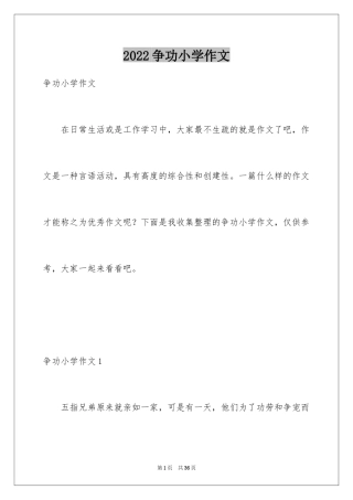 2024争功小学作文