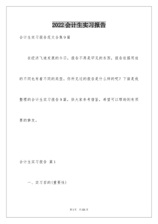 2024会计生实习报告_18