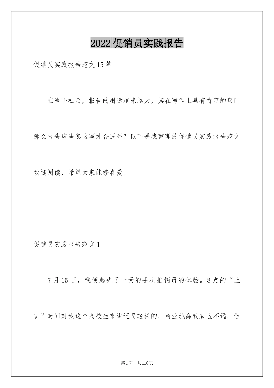 2024促销员实践报告_4_第1页