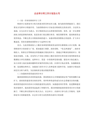 企业审计师工作计划怎么写 