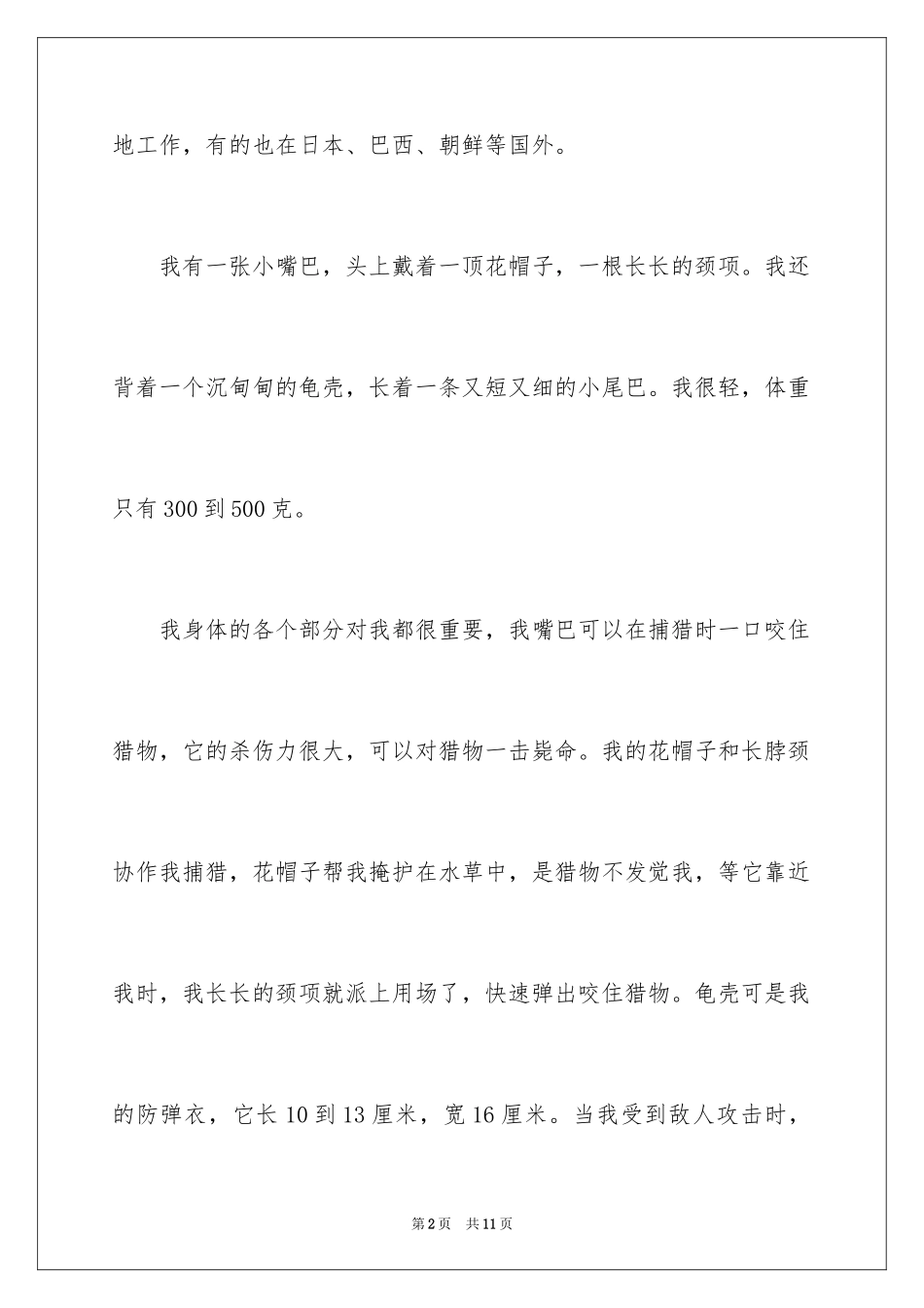2024乌龟作文_2_第2页