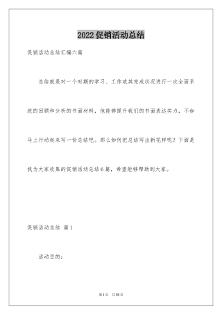 2024促销活动总结_111
