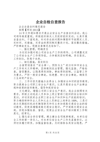 企业自检自查报告