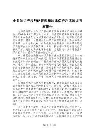 企业知识产权战略管理和法律保护赴德培训考察报告