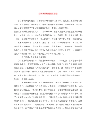 任职试用期满转正总结 