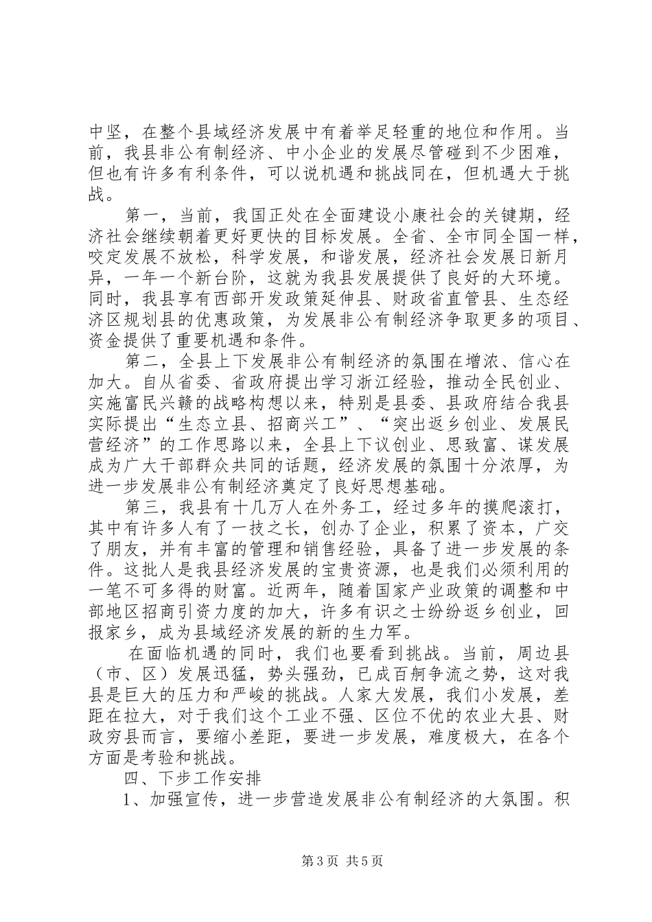 企业民营经济发展报告_第3页
