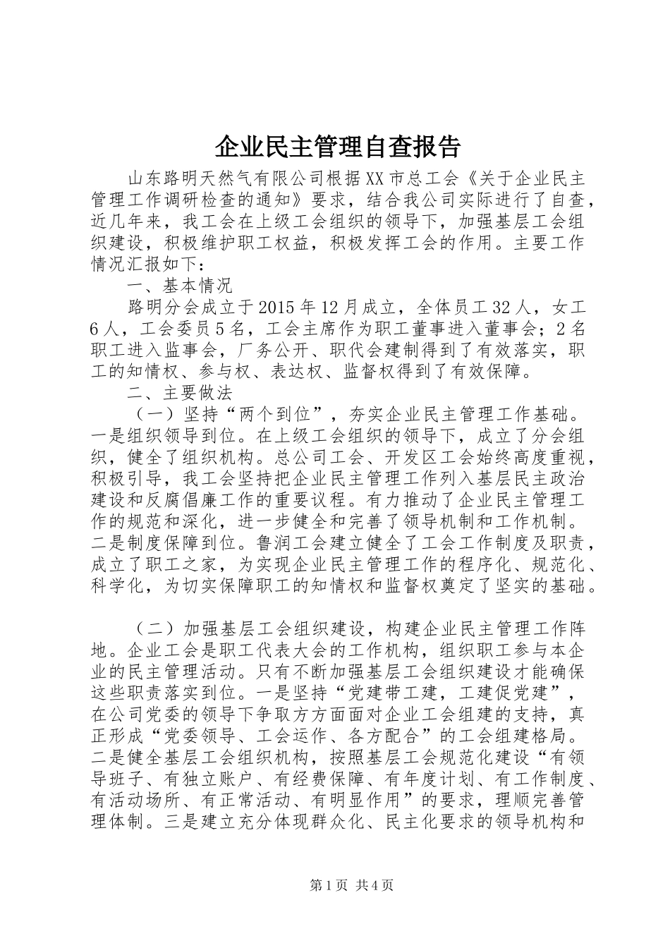 企业民主管理自查报告_第1页