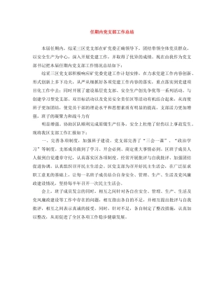 任期内党支部工作总结 