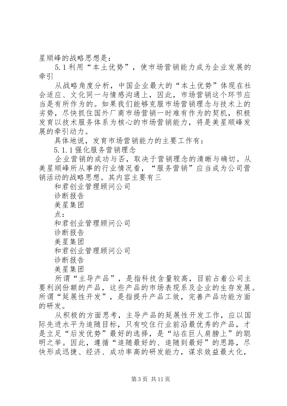 企业战略报告(某国内知名咨询公司制作)_第3页