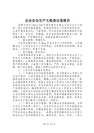 企业安全生产大检查自查报告