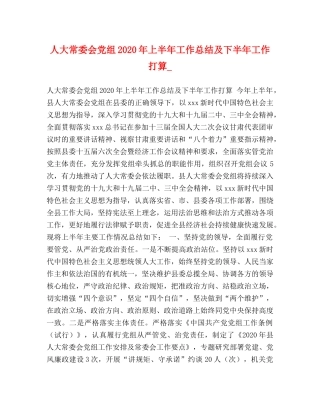 人大常委会党组2020年上半年工作总结及下半年工作打算_ 