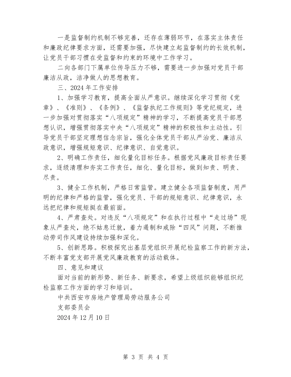 公司支部委员会2024年度纪检监察工作总结_第3页