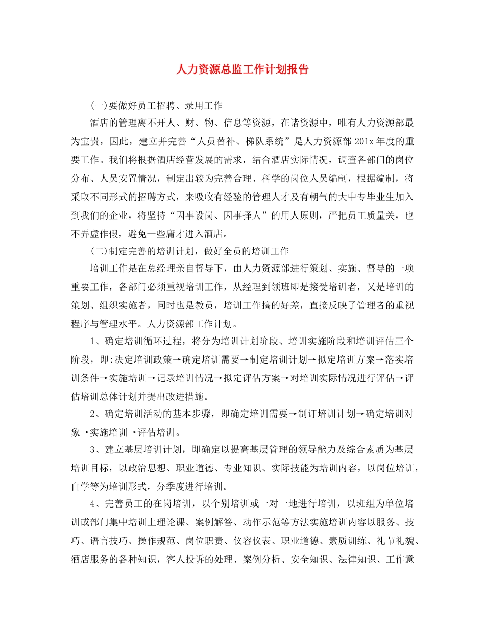 人力资源总监工作计划报告 _第1页
