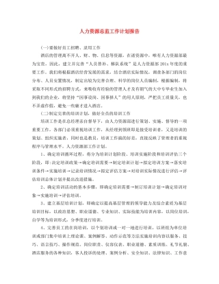 人力资源总监工作计划报告 