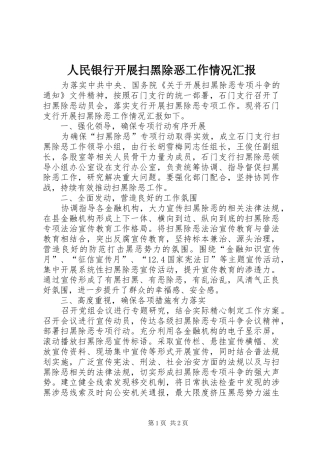 人民银行开展扫黑除恶工作情况汇报