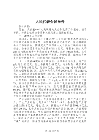 人民代表会议报告