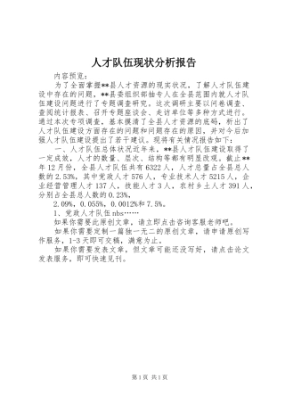 人才队伍现状分析报告