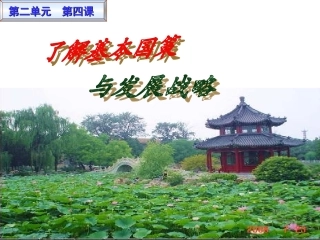 第四课-了解基本国策与发展战略复习资料-课件