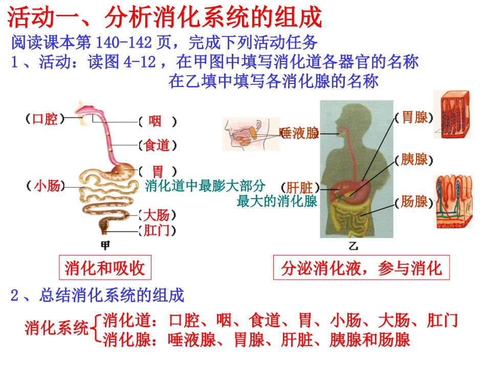 九（上）421食物的消化与吸收一_第2页
