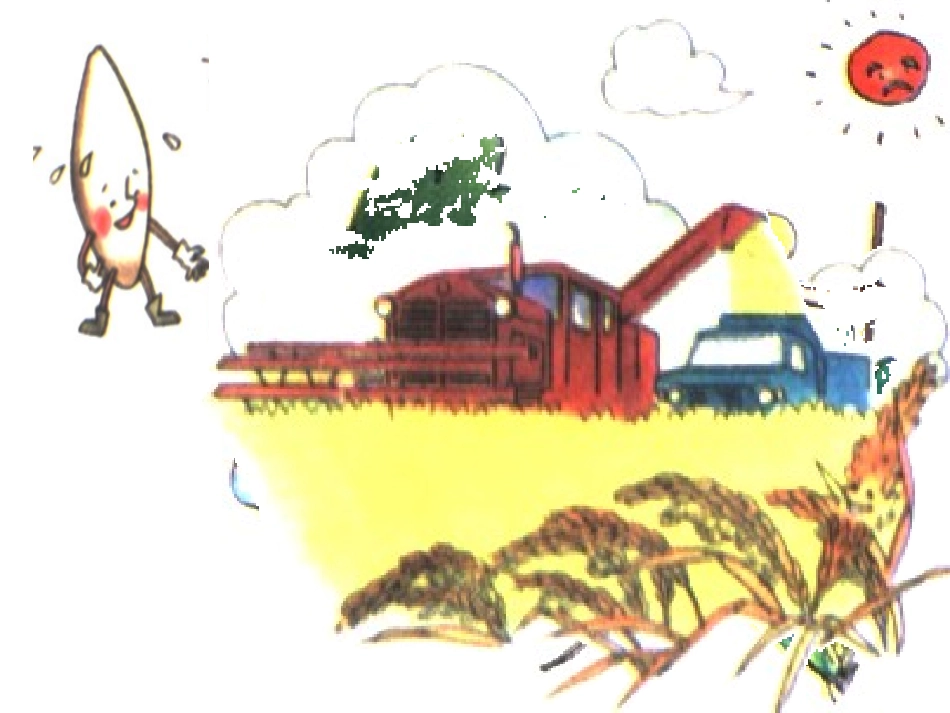 主题班会课件-珍惜粮食PPT课件_第2页