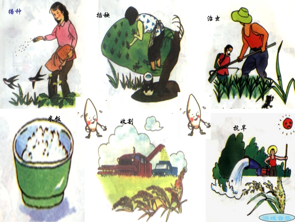 主题班会课件-珍惜粮食PPT课件_第3页