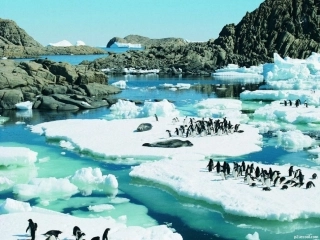 像山那样思考正式稿