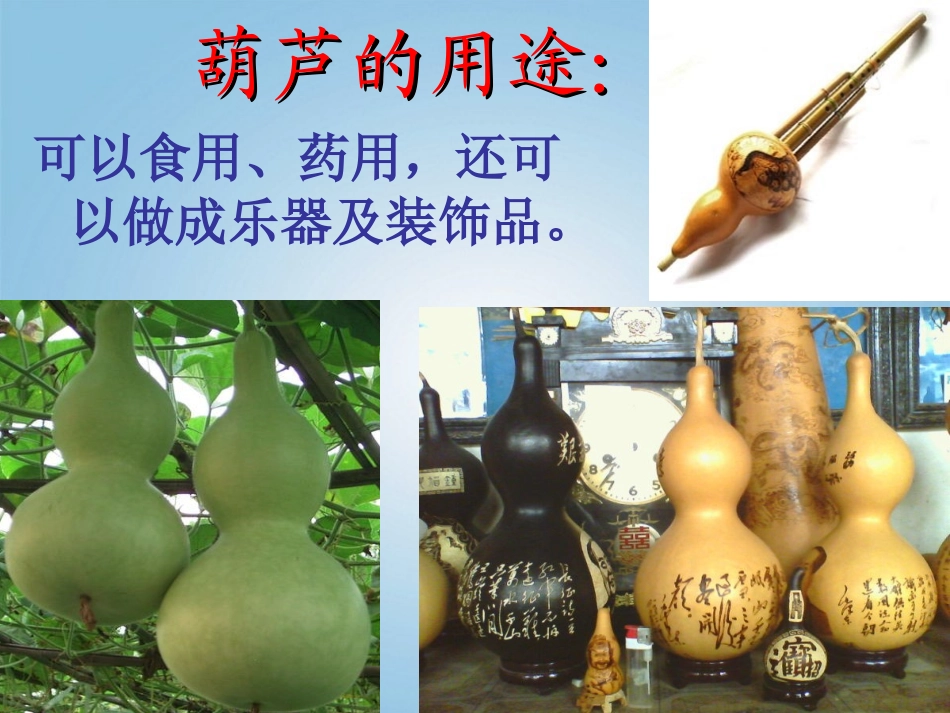 二年级语文上册14《我要的是葫芦》课件人教新课标版_第1页