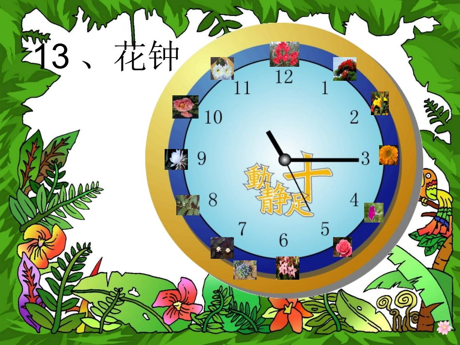 花钟最新课件_第1页