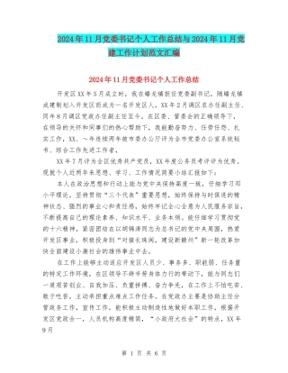 2024年11月党委书记个人工作总结与2024年11月党建工作计划范文汇编