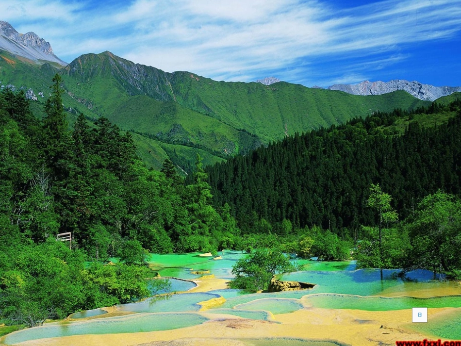 柳树醒了课件(2)_第2页