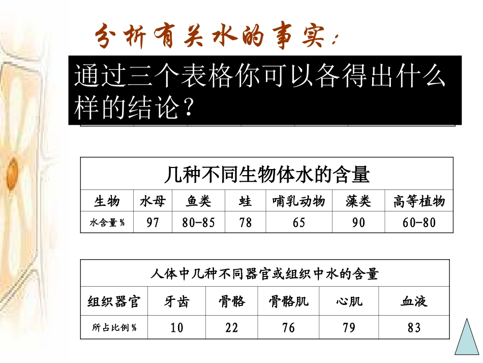 高一生物_水和无机盐_第2页